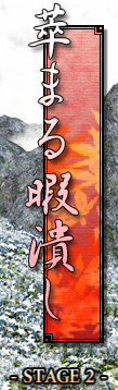 绯想天2面场景（天子）.png