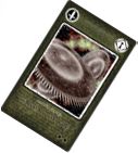 金木符「Elemental Harvester」（萃梦想图标）.png