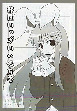 部屋いっぱいの処方箋封面.jpg