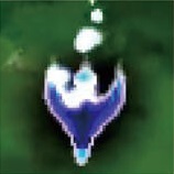 外来韦编10 兽王园特辑 019.jpg