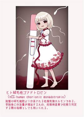 ヒト絨毛性ゴナドトロピン预览图2.jpg