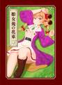 姫女苑の花束 封面图片