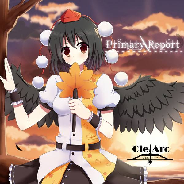 文件:Primary Report封面.jpg
