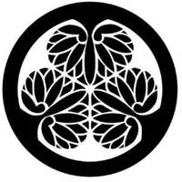 三叶葵