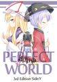 PERFECT WORLD 3rd Edition Side:Y Immagine di Copertina