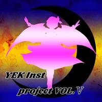 YEK Inst project VOL.Ⅴ