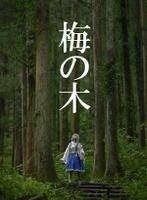 梅の木