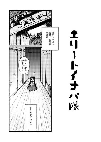 文件:エリートイナバ隊预览图1.jpg