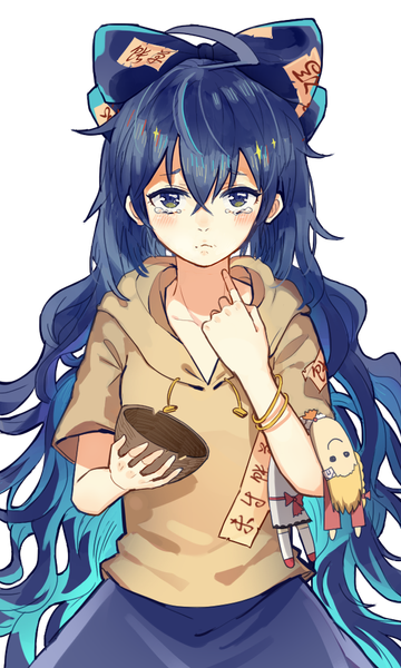 文件:THBWiki-募捐.png