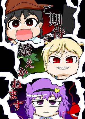 ご期待に添えかねます封面.jpg