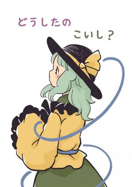 文件:どうしたのこいし？封面.jpg