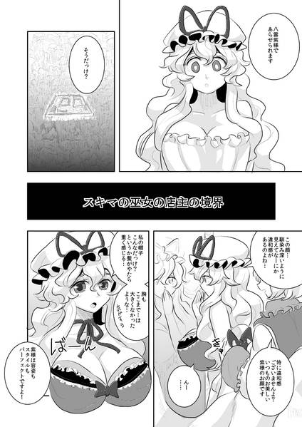 文件:スキマの巫女の店主の境界预览图2.jpg