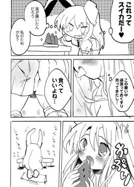 うどんげぱにっくぅ预览图3.jpg