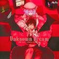 Unknown Dream 封面图片