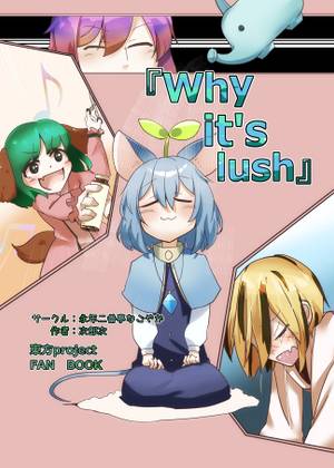 why it`s lush封面.jpg