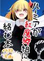 ルーミアが紅魔郷組に絡む本 封面图片
