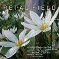 PETAL FIELD 封面图片