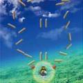 2026年6月23日 (二) 15:37版本的缩略图