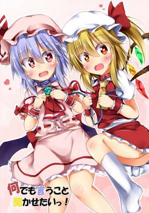 何でも言うこと聞かせたいっ！封面.jpg