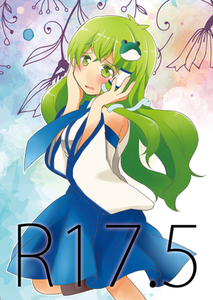 R17.5封面.png