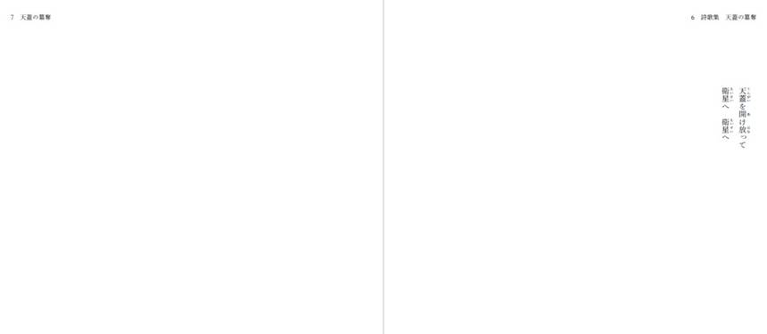 天蓋の簒奪预览图3.jpg