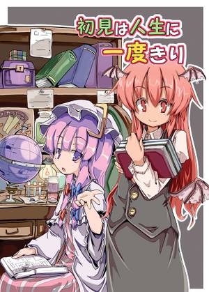 初見は人生に一度きり封面.jpg