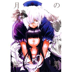 月の姫君封面.jpg