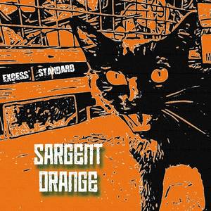 SARGENT ORANGE封面.jpg