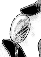冰之鳞.png