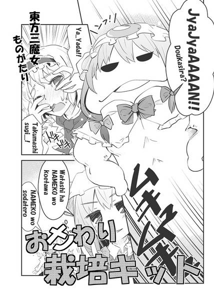 文件:おさわり栽培キット封面.jpg