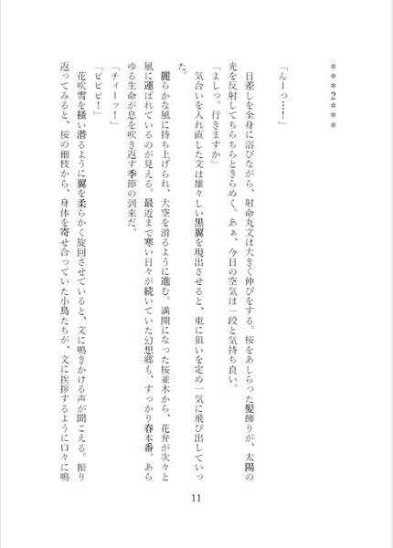 文件:鳥めづる巫女 ～あやれいむ二吟一稿 巻の三～预览图3.jpg