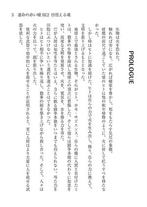 運命の赤い瞳Special EditionII 彷徨える魂预览图3.jpg