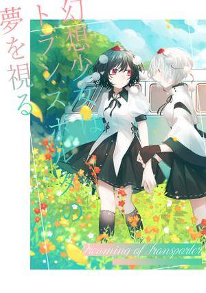 幻想少女はトランスポルタの夢を視る封面.jpg