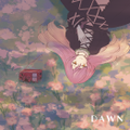 DAWN 封面图片