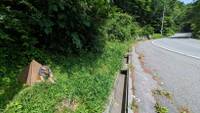 位于长野县国道路边的斯芬克斯像