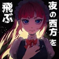 夜の西方を飛ぶ