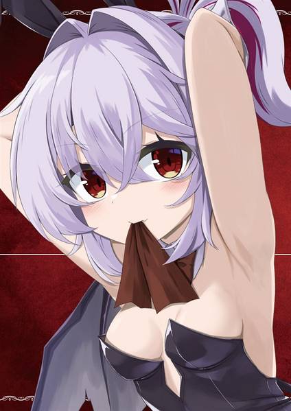 文件:紅魔のウサギは何見て跳ねる？预览图1.jpg
