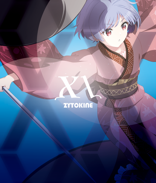 文件:X＼封面.png