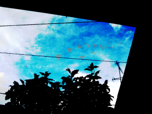 music for you？封面.png