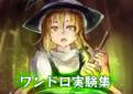 東方ワンドロ実験集 封面图片