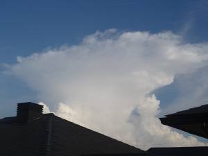 Moriya Style Shuffle Dance封面.jpg