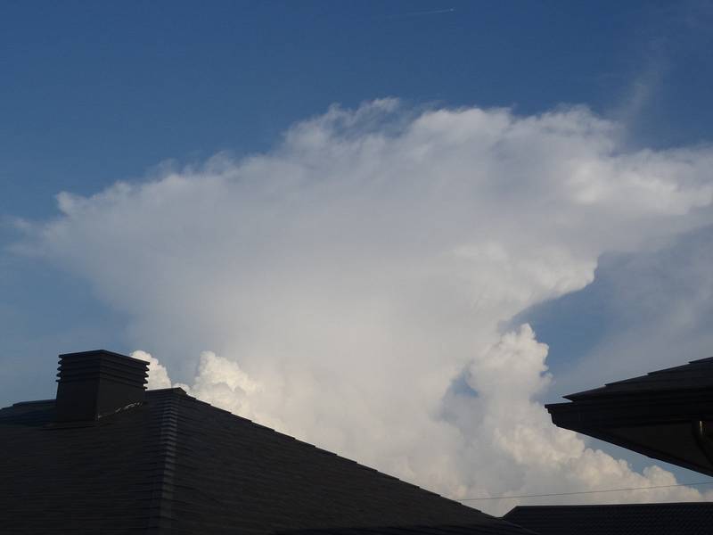 文件:Moriya Style Shuffle Dance封面.jpg