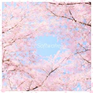 Softwake封面.jpg
