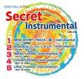 Secret Instrumental 封面图片