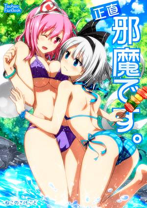 正直邪魔です。封面.jpg