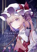 TRANSPARENT VISION