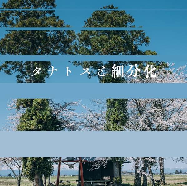 文件:タナトスと細分化封面.jpg