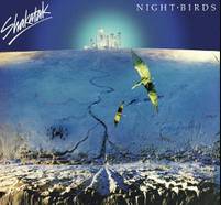 《Night Birds》专辑封面
