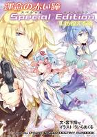 運命の赤い瞳Special EditionII 彷徨える魂