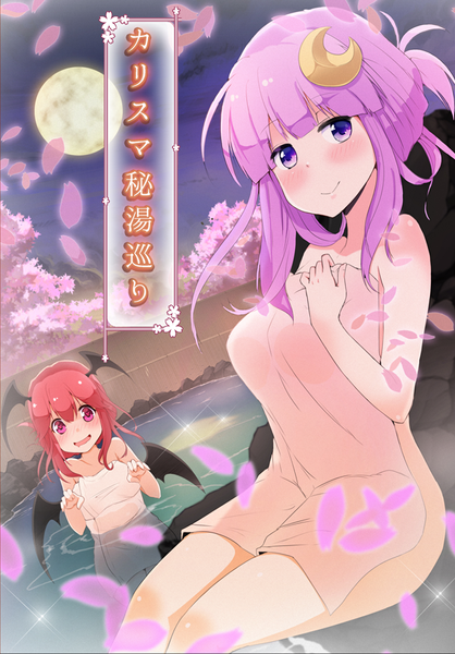 文件:カリスマ秘湯巡り封面.png